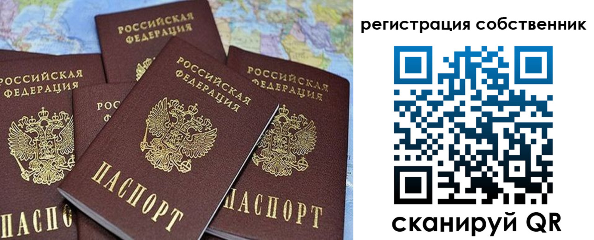 прописка для школы в Волгодонске